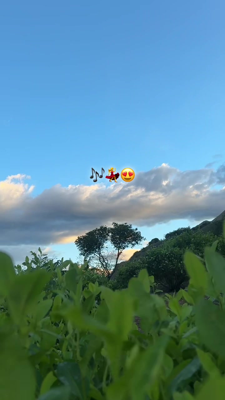 @彡[ʀᴏʟɪᴛᴀꜱ ツ࿐