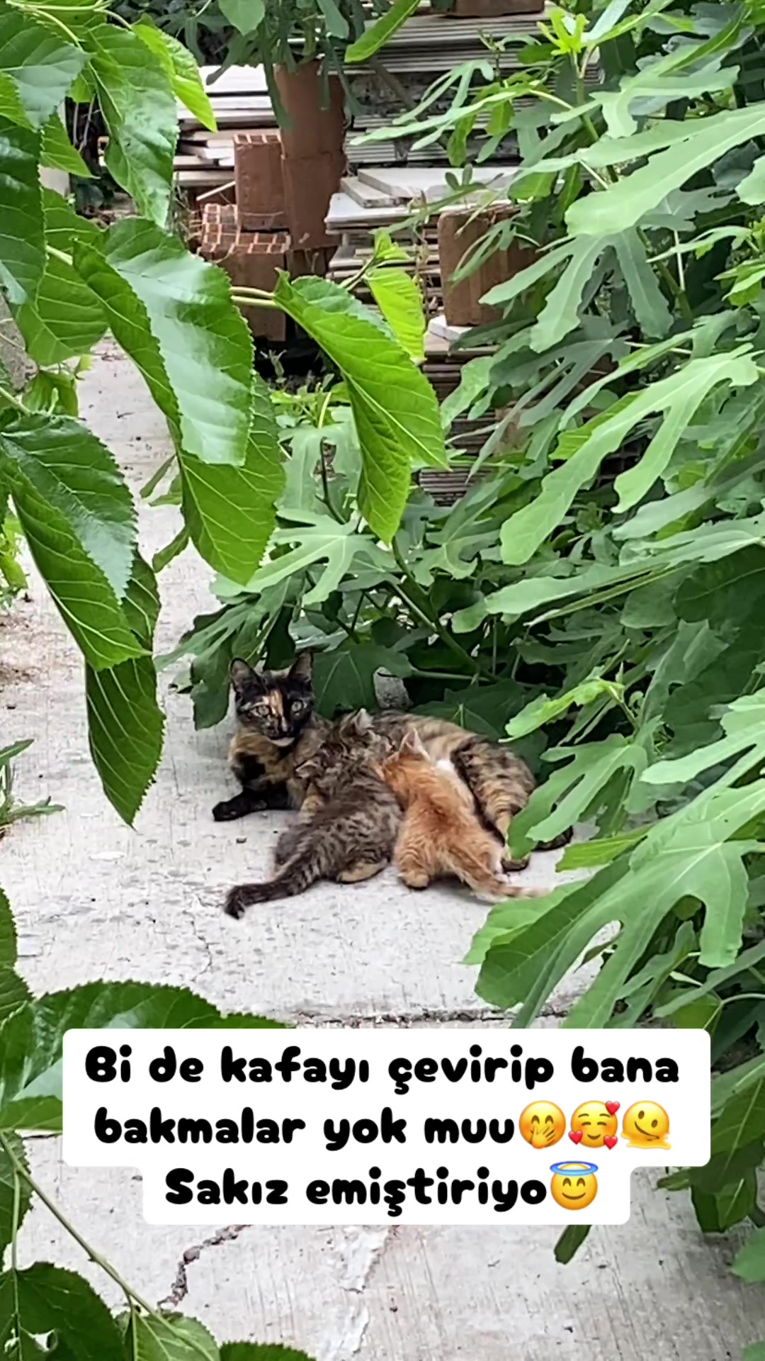 @Şapkalı Kadın