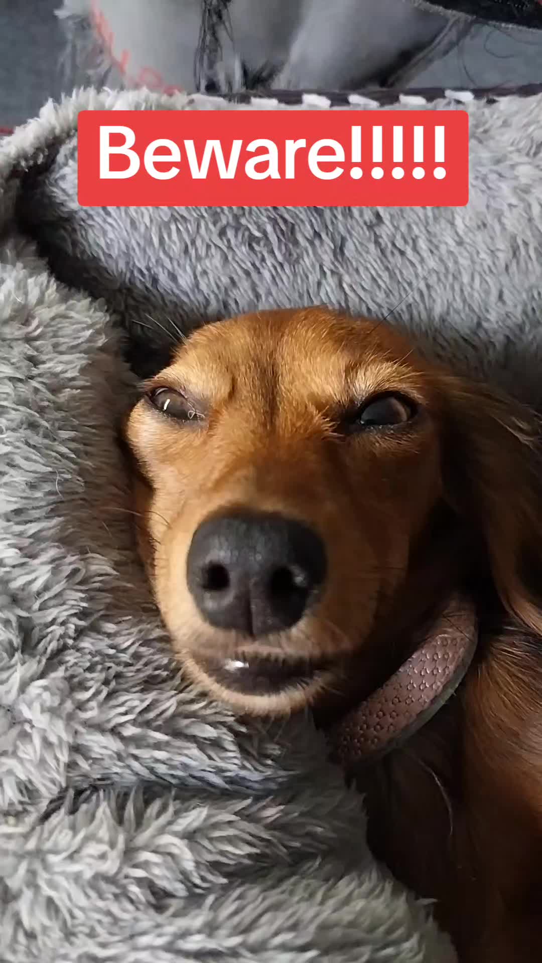 @filmguy13z
