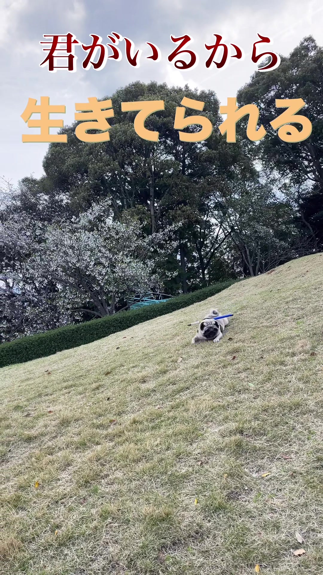 @kksuke