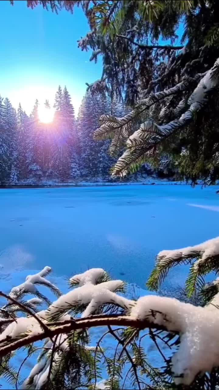 @IRFAN 580