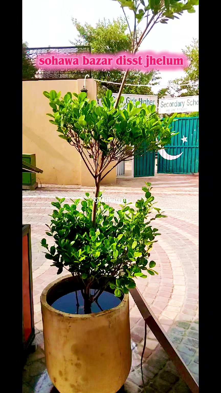 @RJ Atif Hussain