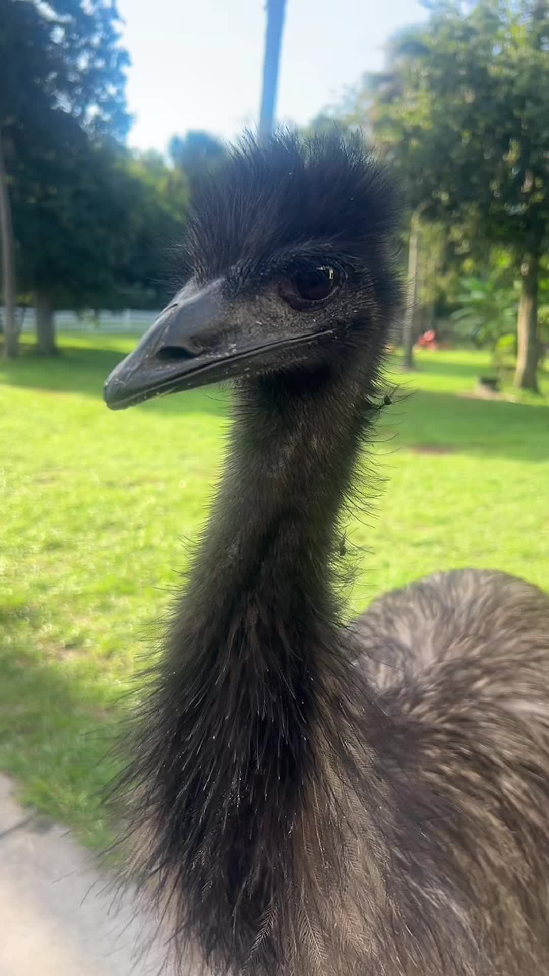 @𝓨𝓪𝓻𝔂