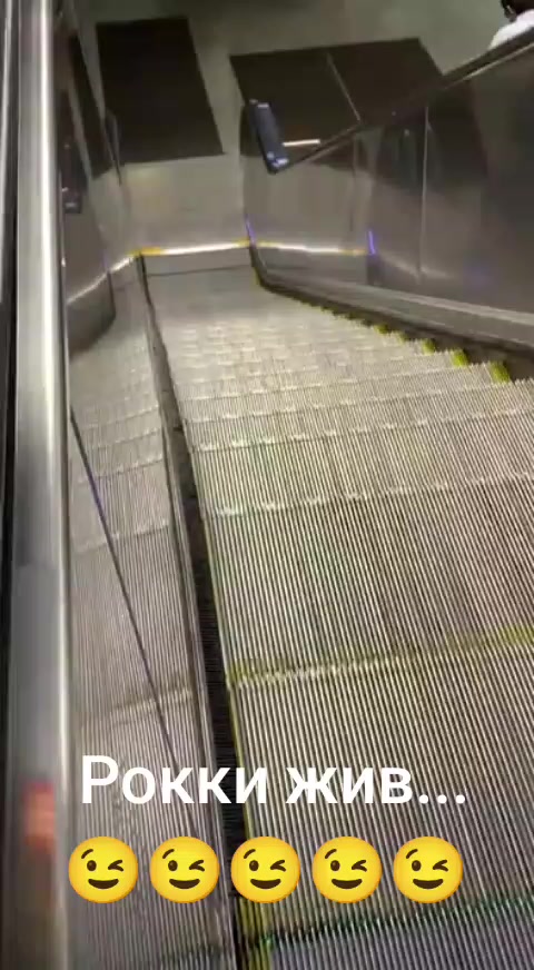 @Дэнчик Кэт