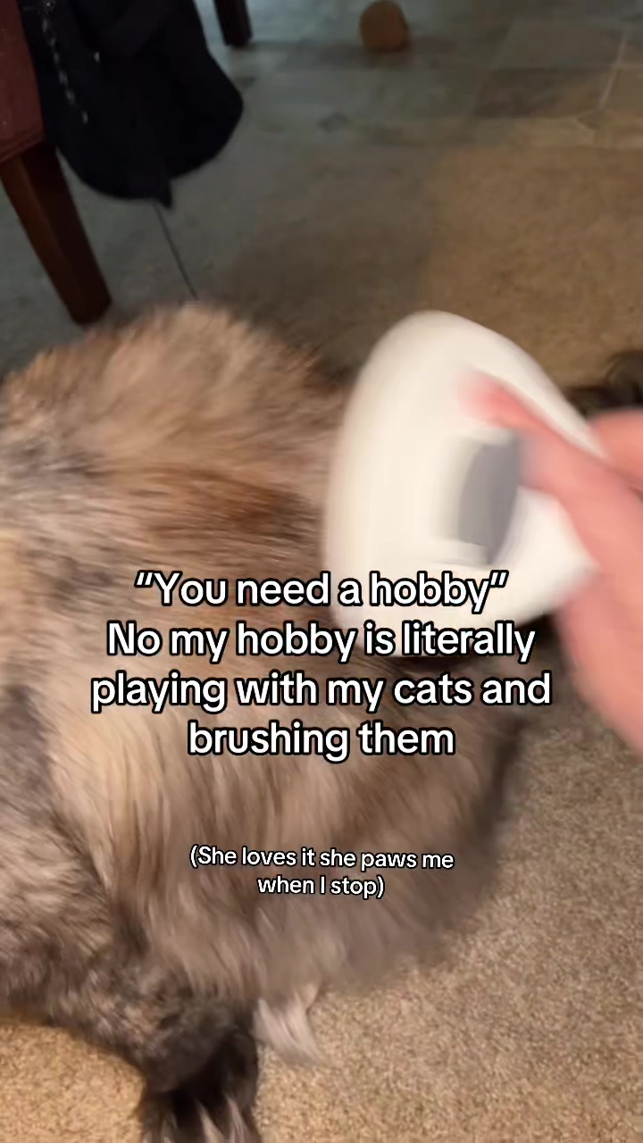 @puddingoblin