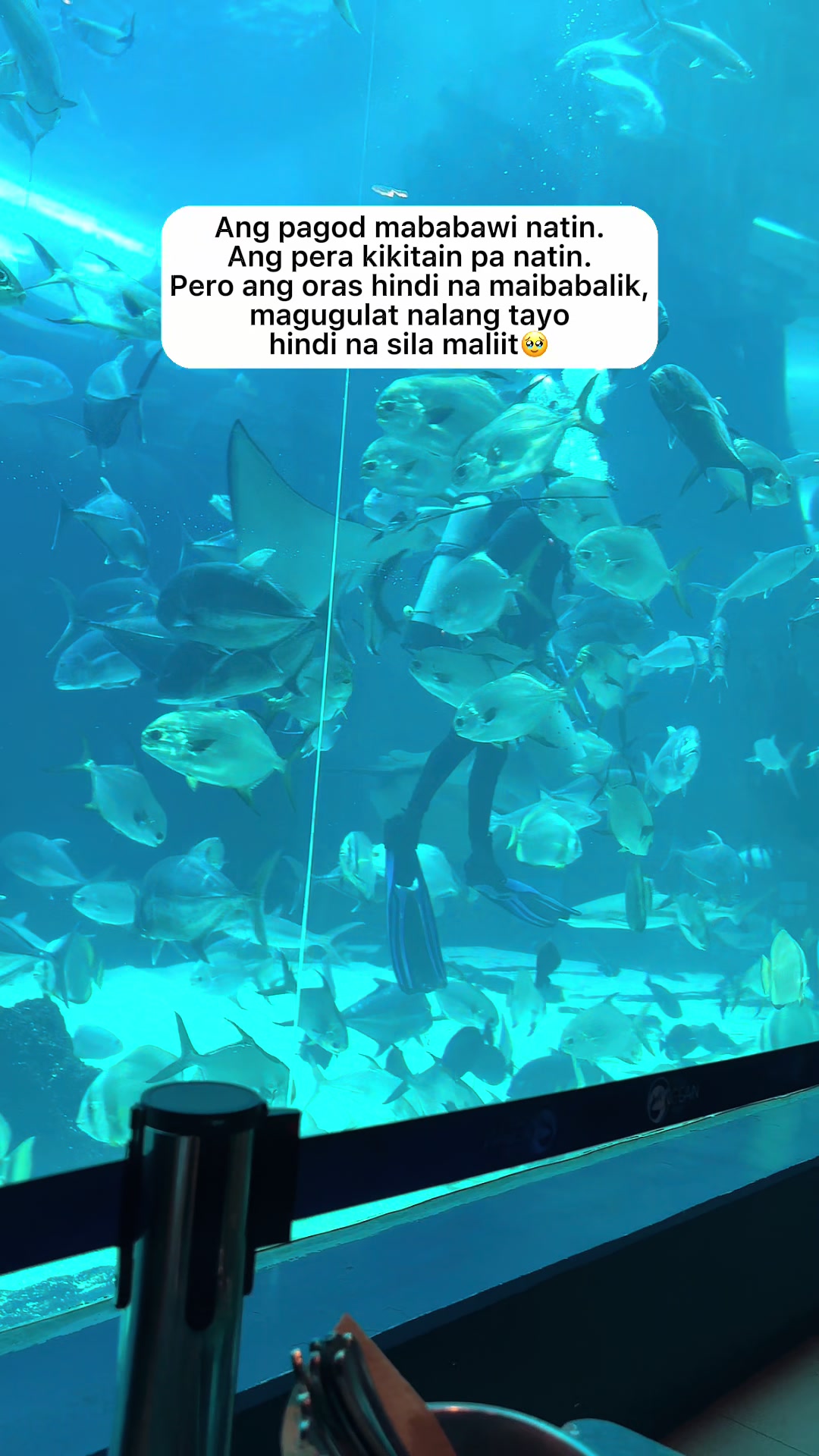 @ariel1803