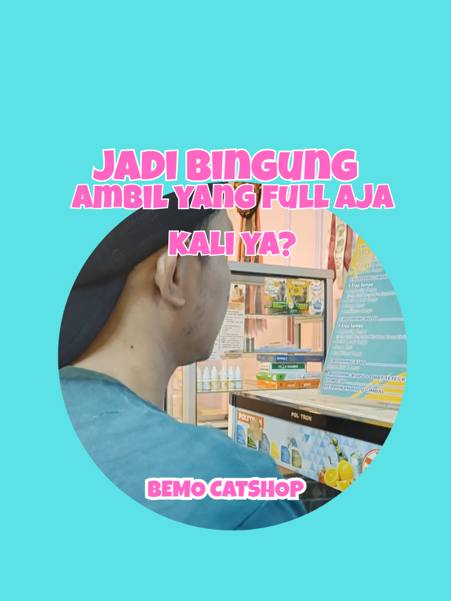 @Bemo Catshop