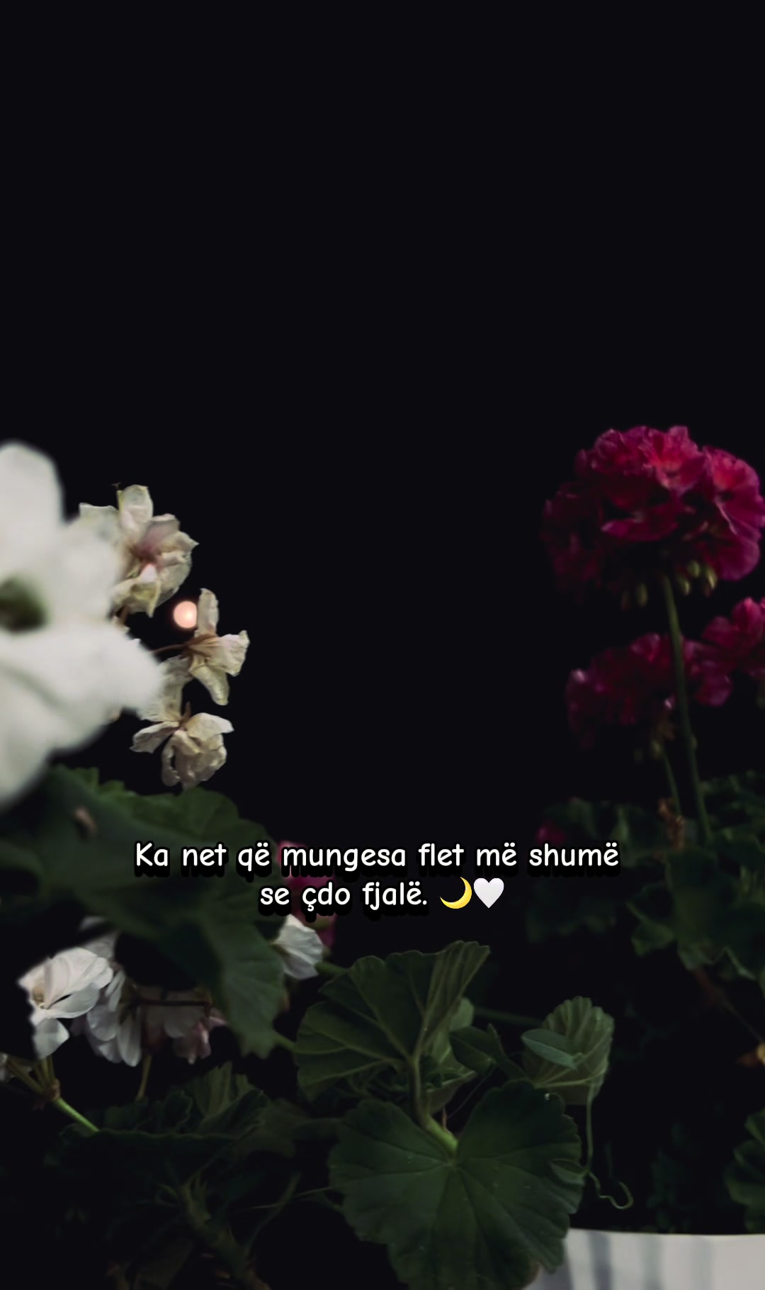 @nrzeqiri