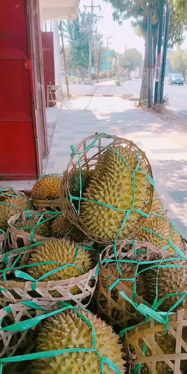 @Kenzhi Durian Tuban