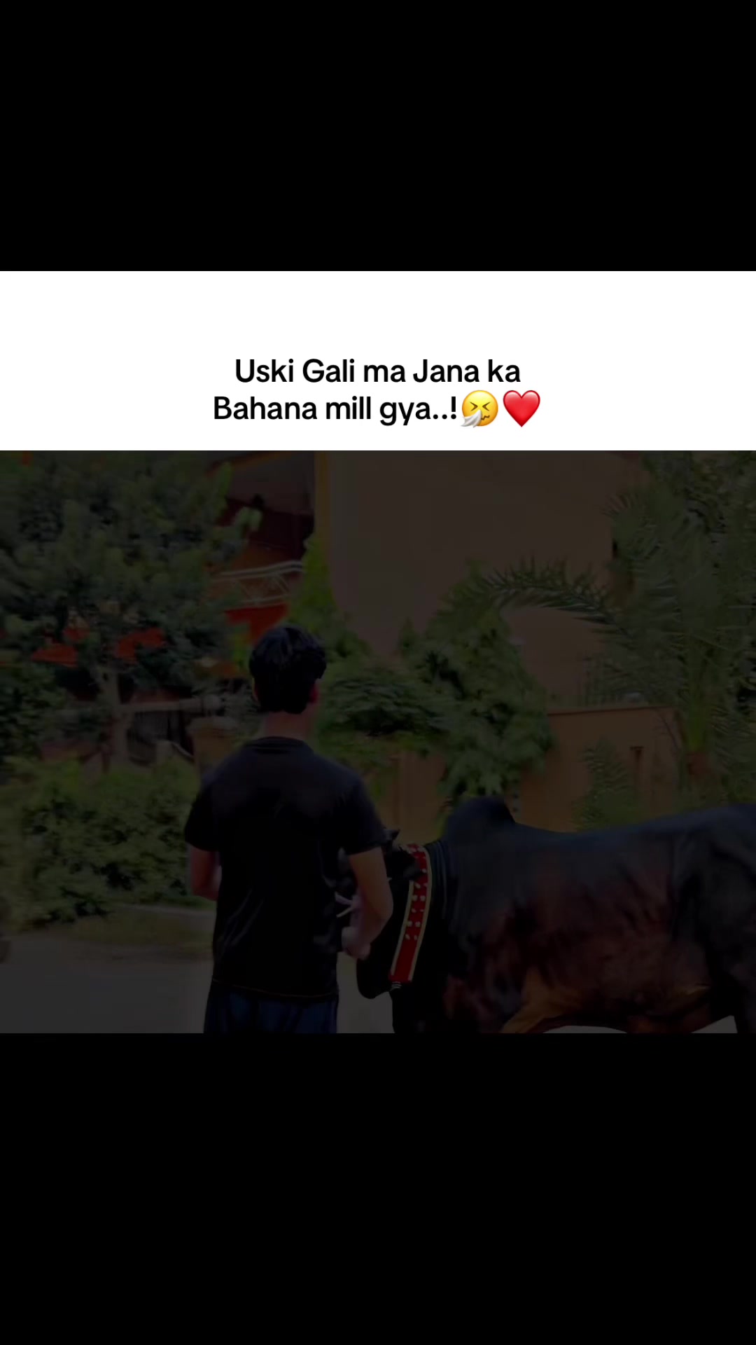 @نبیل اکرم🐺