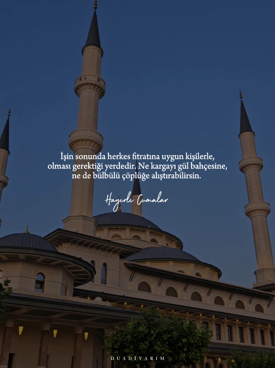 @ᴅᴜᴀ ᴅɪ̇ʏᴀʀɪᴍ