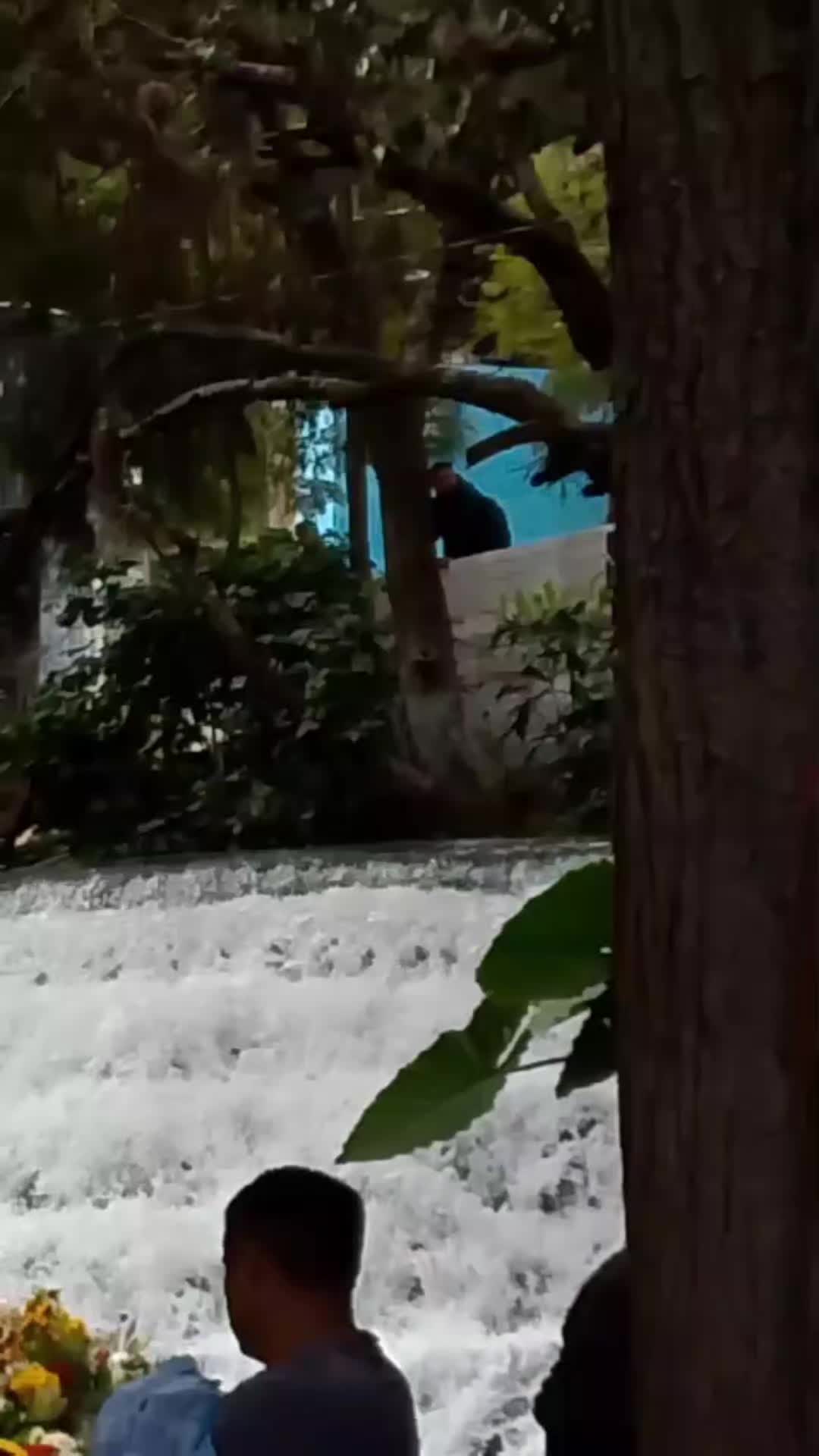 @Alexa