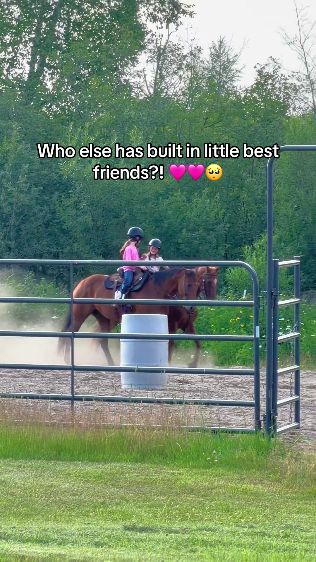 @Heinrich🐴👧👧