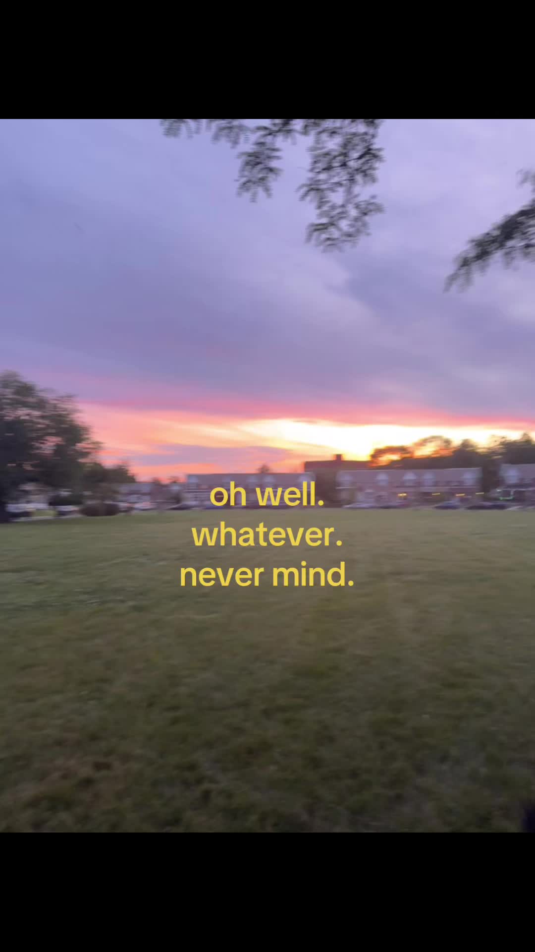 @꧁ 𝓗𝓪𝓻𝓵𝓮𝔂 𝓠𝓾𝓲𝓷𝓷 ꧂