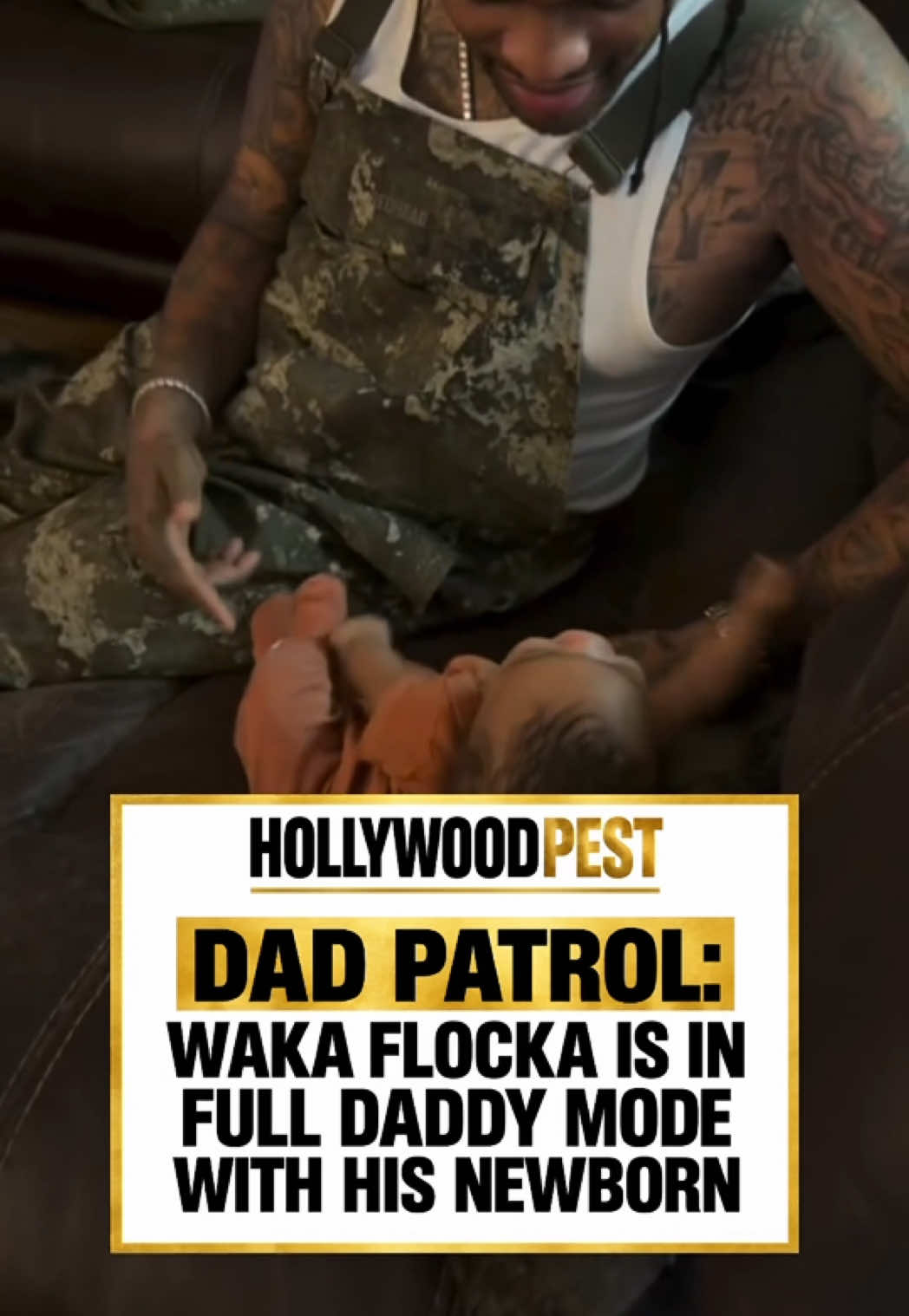 @Hollywoodpest Press