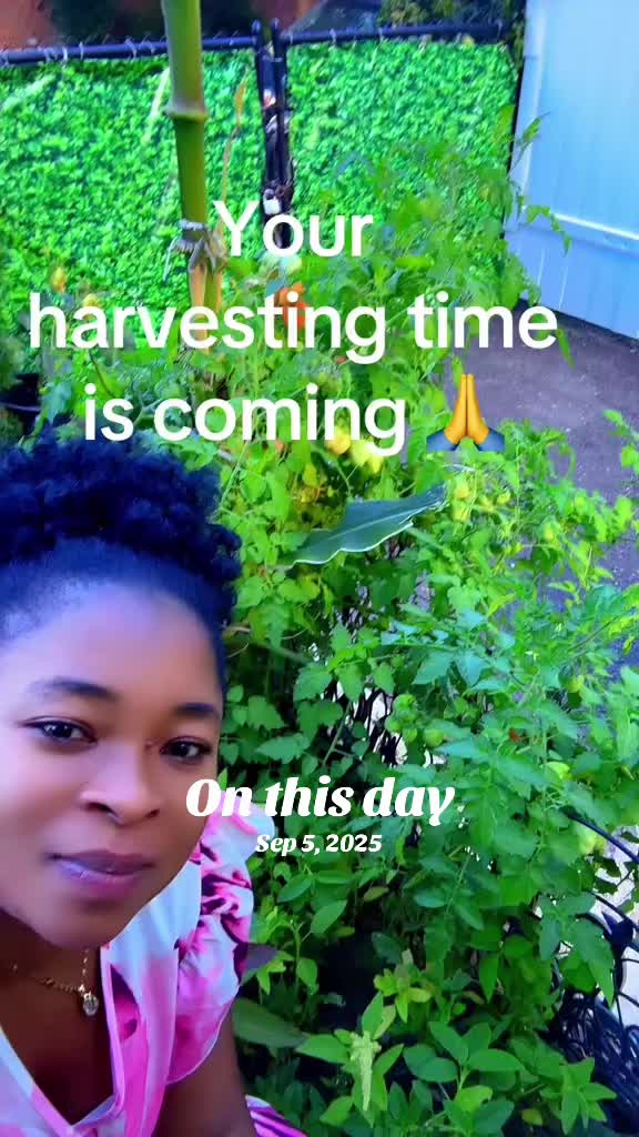 @Gracefully farm land
