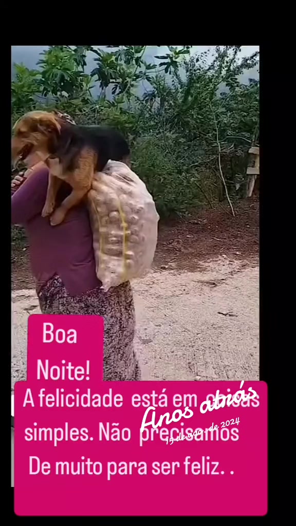 @Monica Helena Lopes