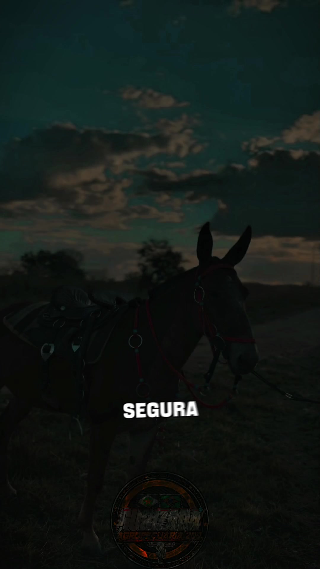 @gurizada_da_agropecuária