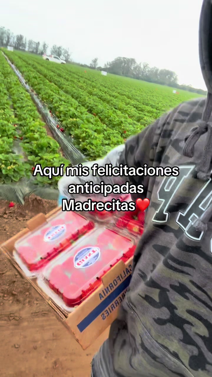 @Rancho humilde