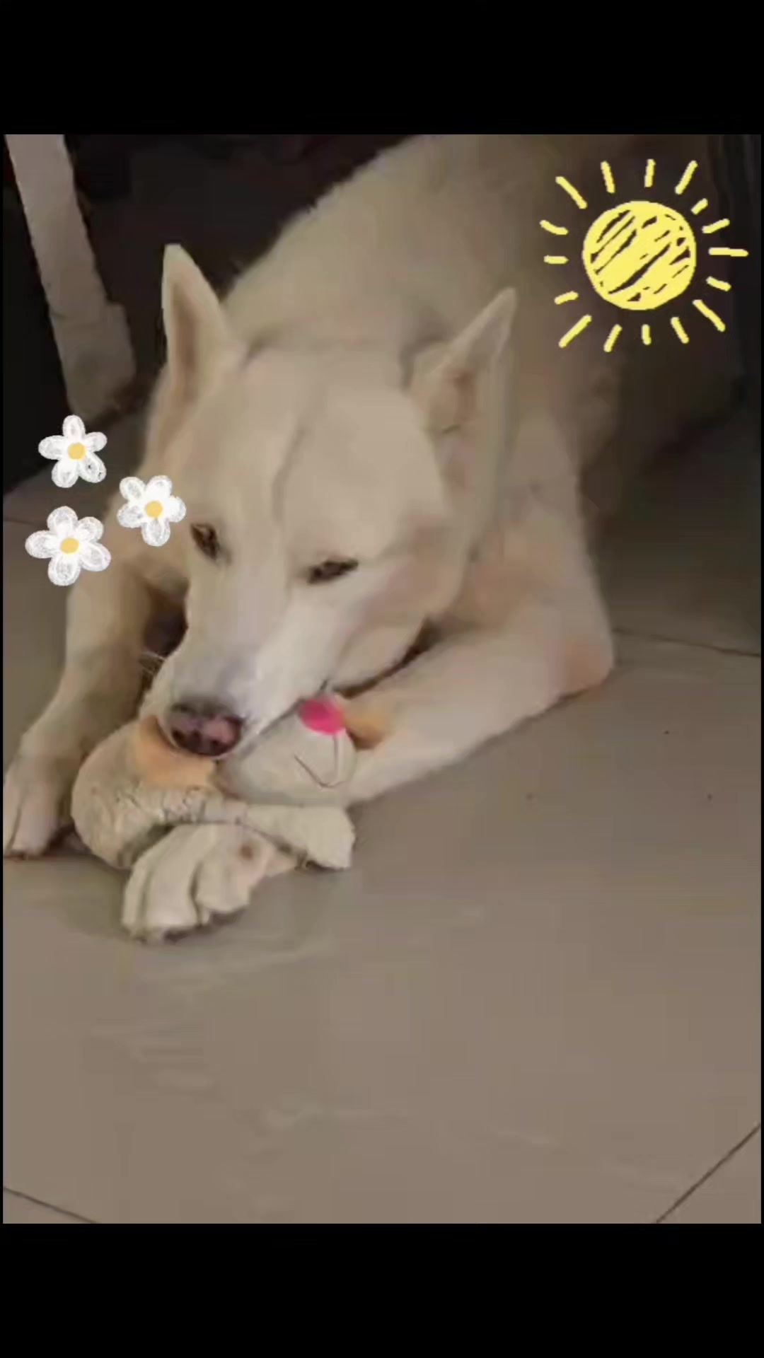@Sheiko y Aisha 💖