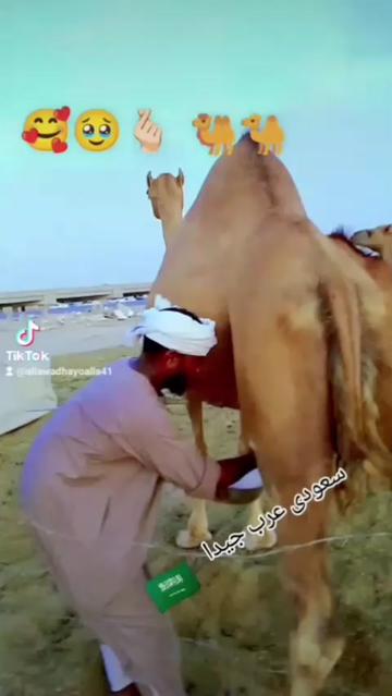 @chachar