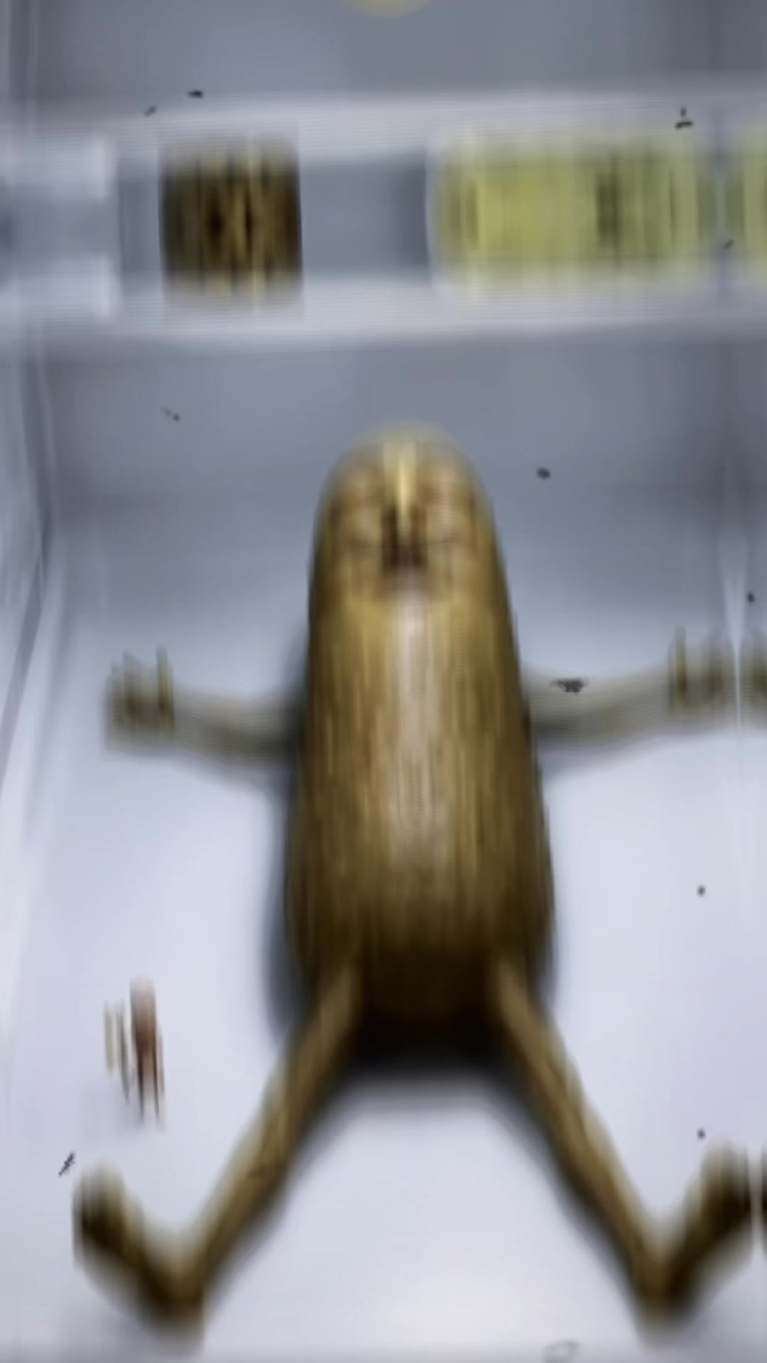 @AI