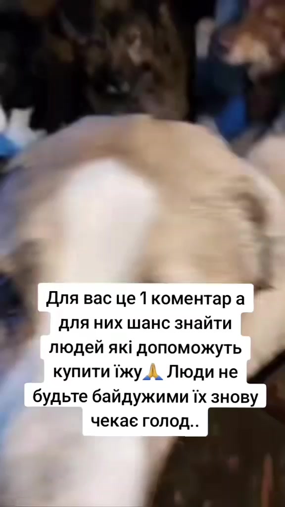 @tvarinkidobra