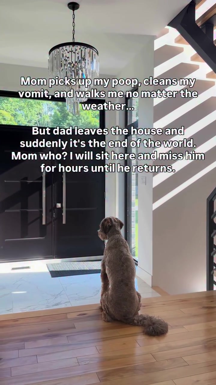 @Dogs Made Simple