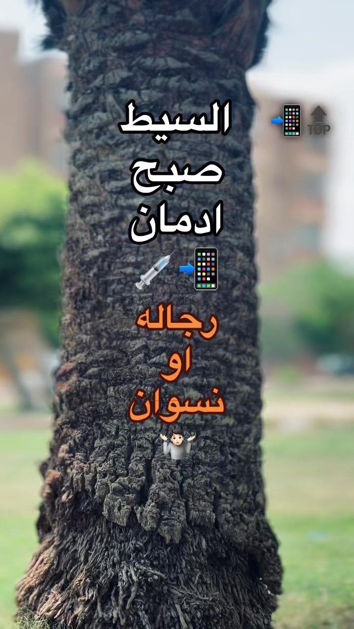 @🔁| يـسـن 🐺