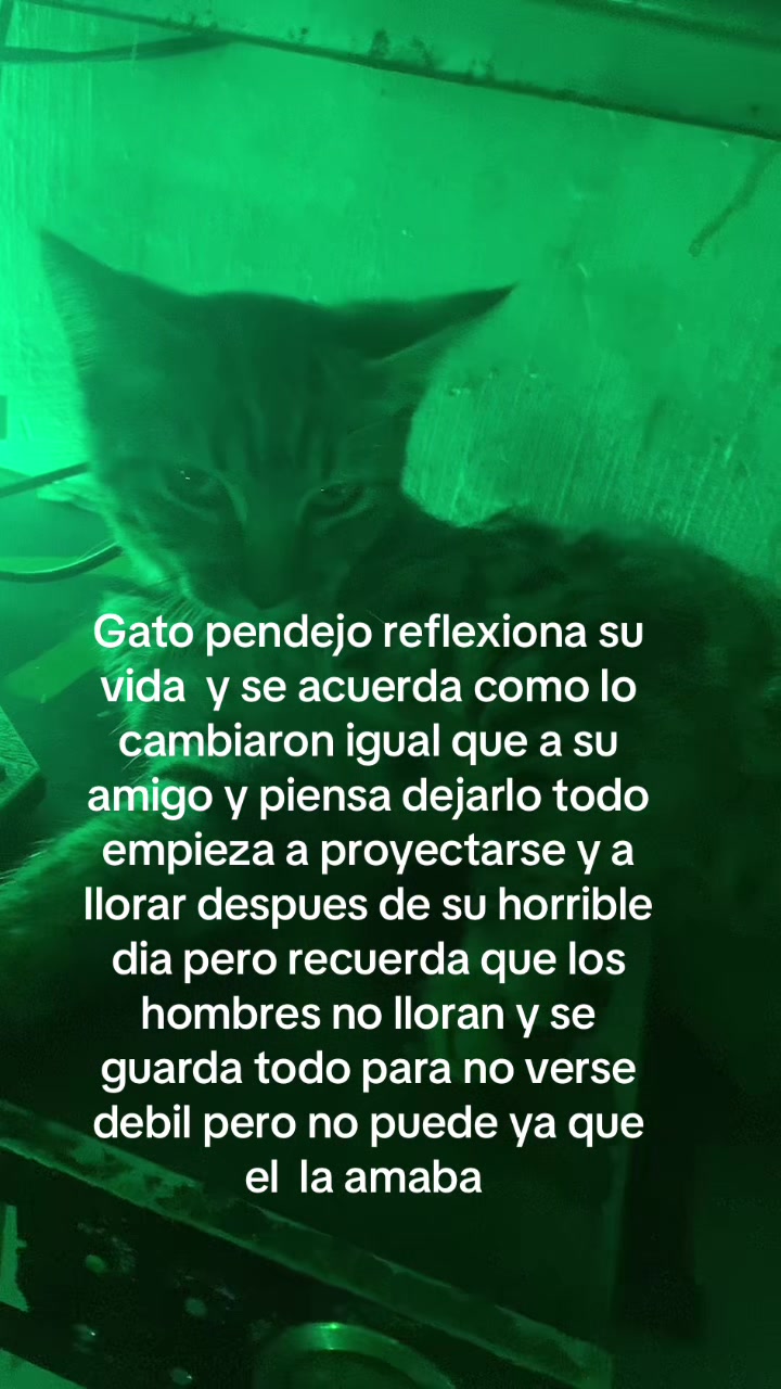 @Proyectadas_Lispk