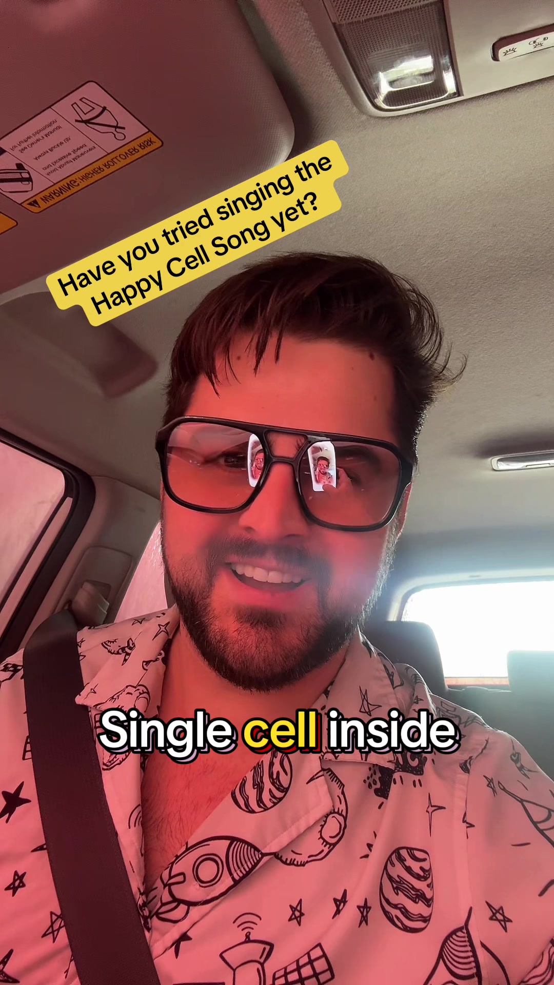 @BurchBearHolisticCare