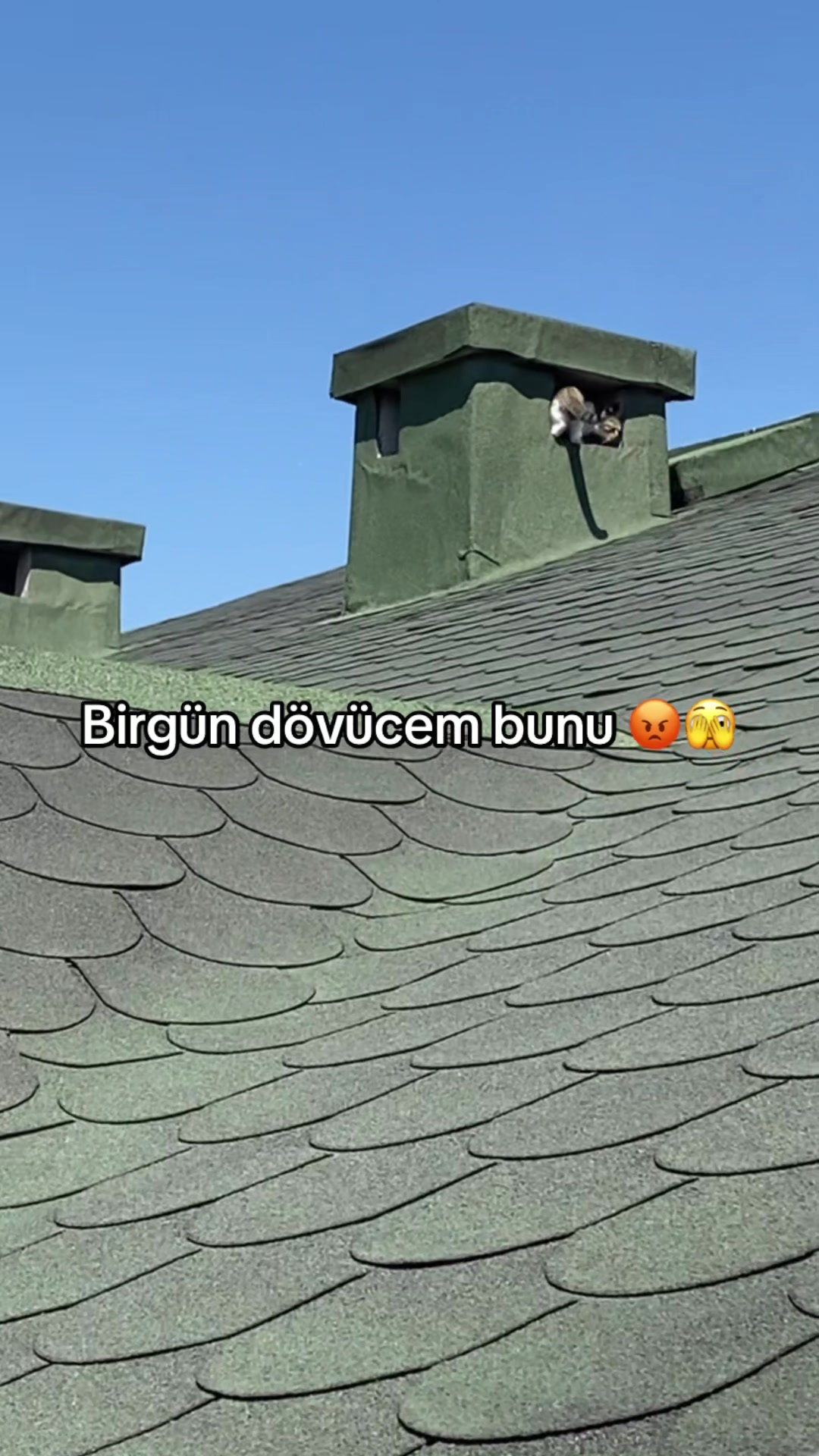@yudummz_
