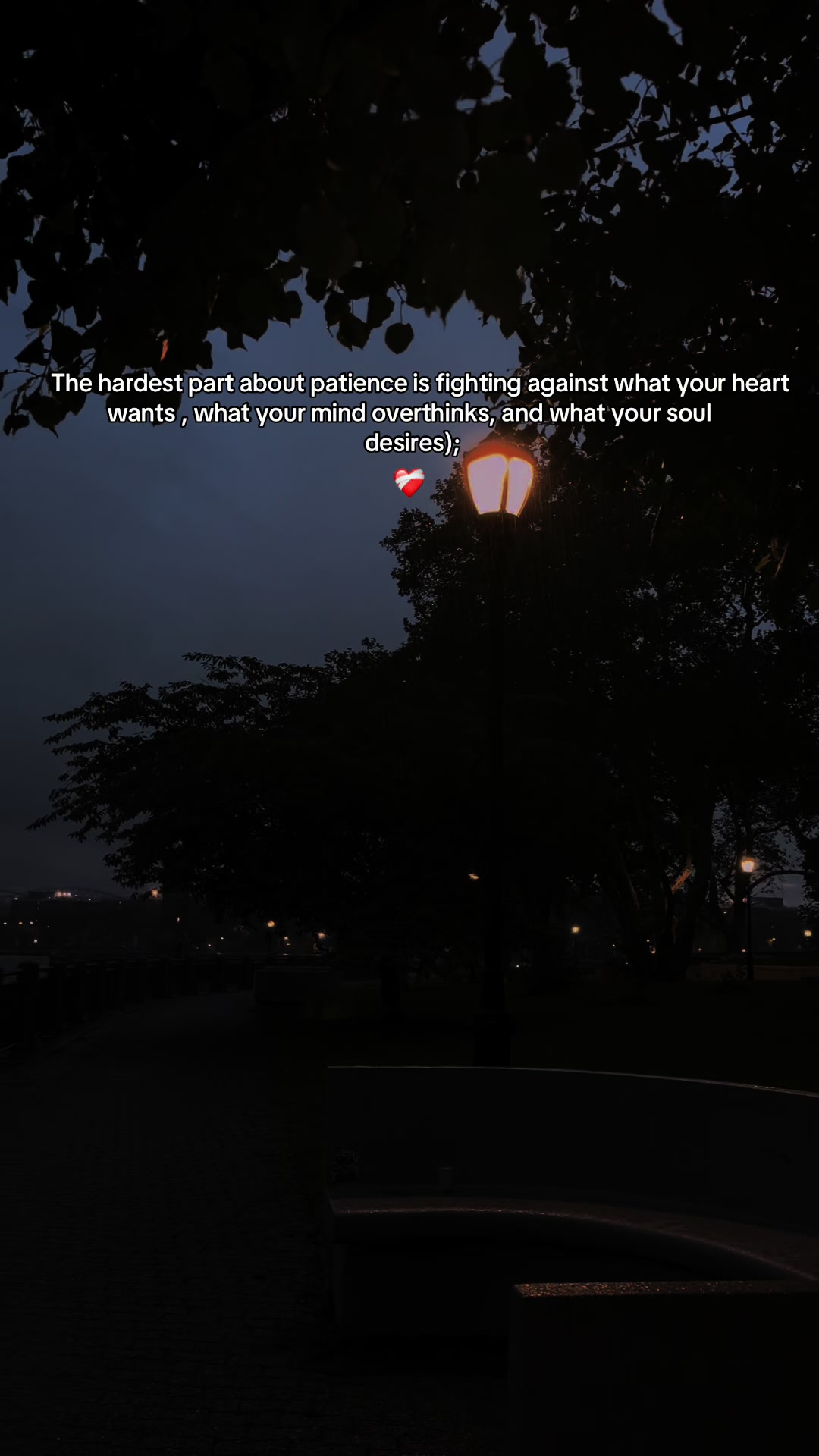 @🌻 Shikarni 🕊️ The Reaper 🪷