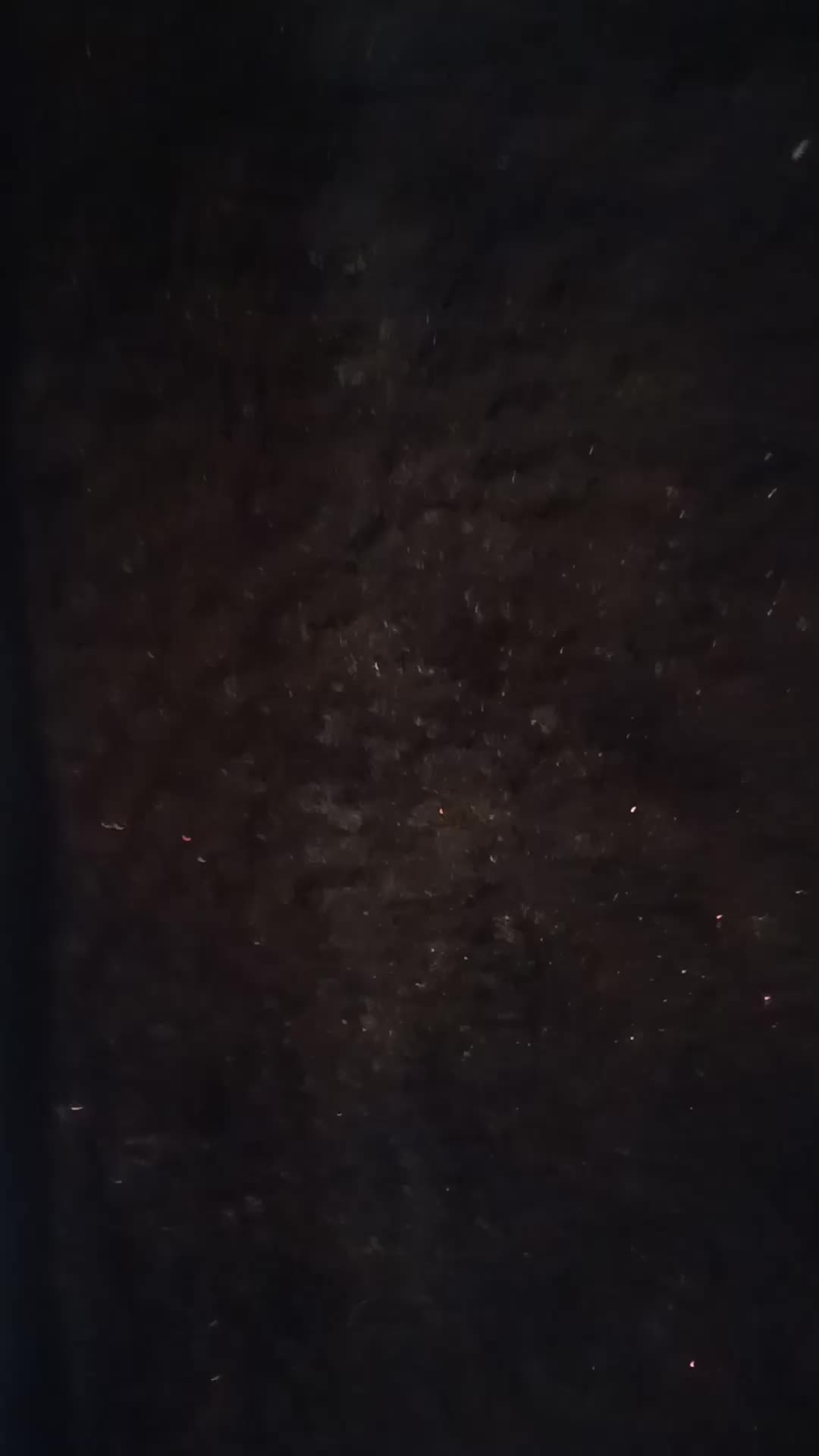 @ZR1