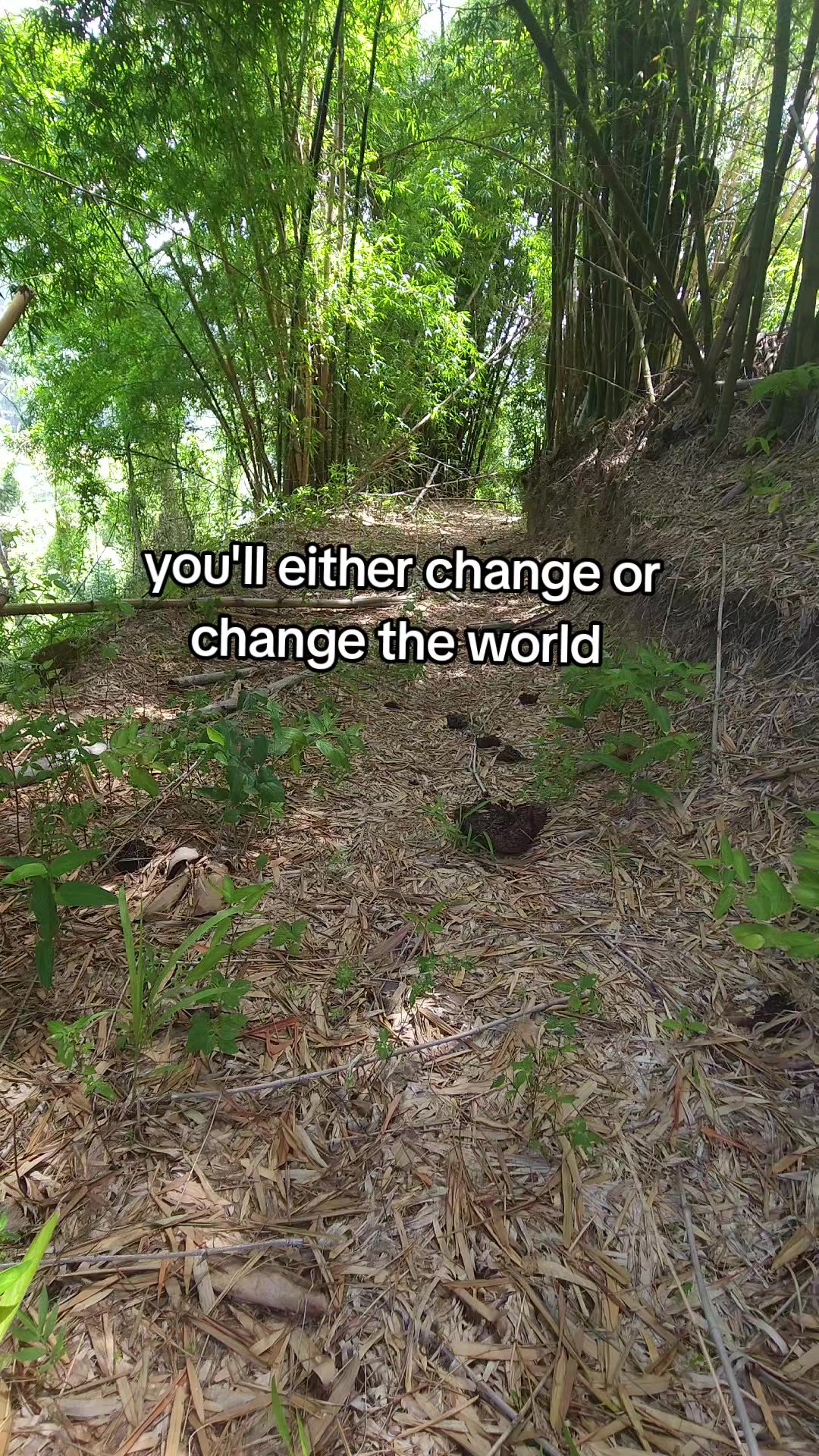 @TDHO