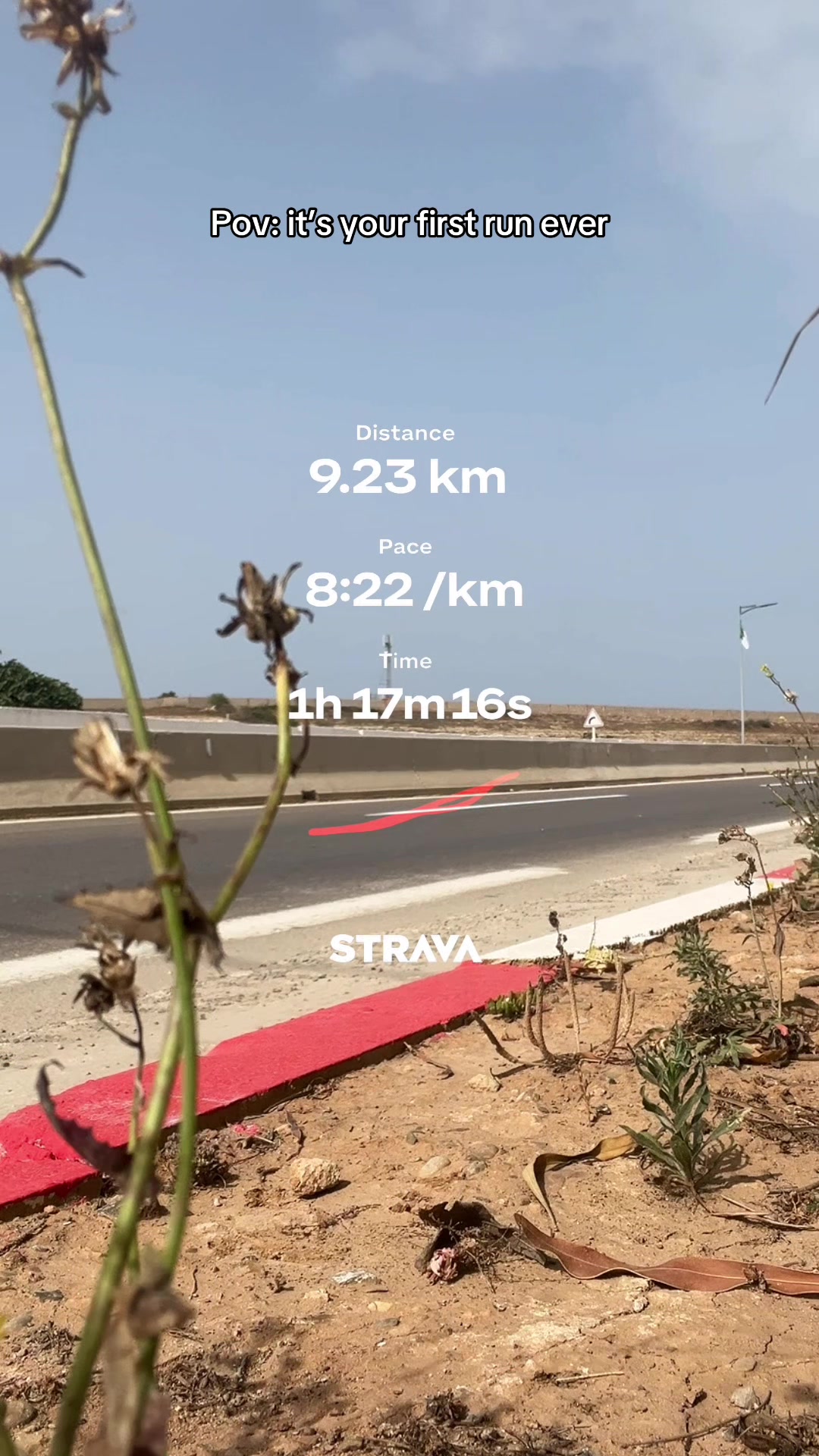 @نورهان🇩🇿🍉