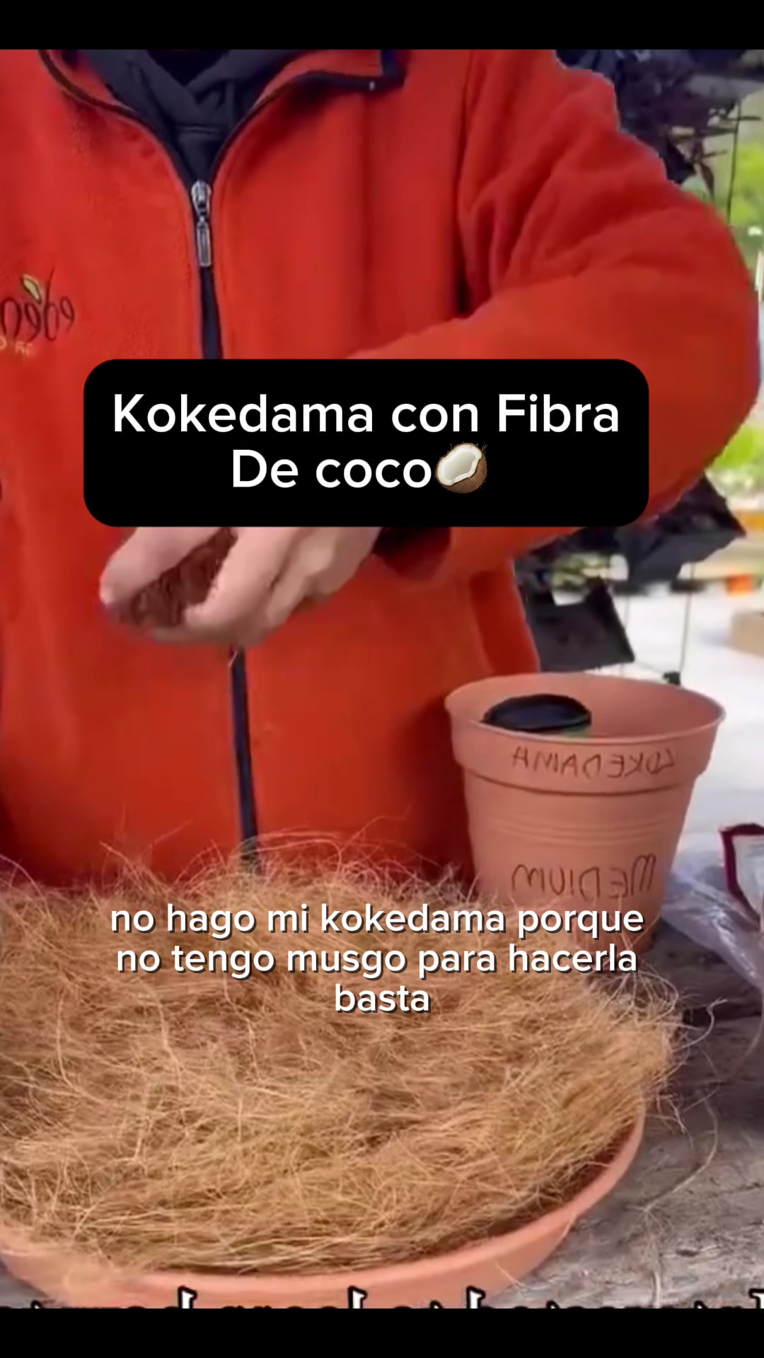@Escuela de Kokedamas✅