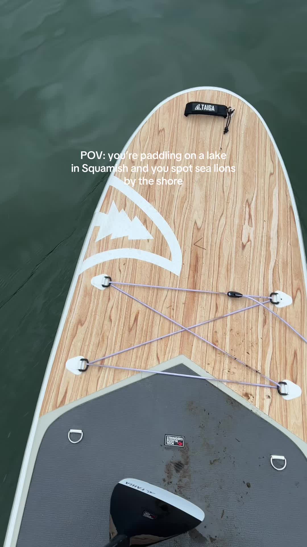 @TAIGA BOARD 🇨🇦