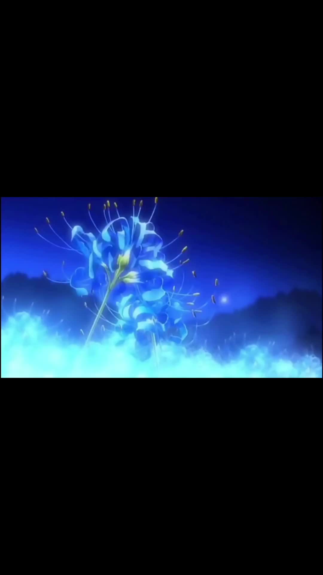 @AnimeZz
