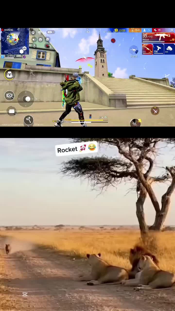 @Roi De la Jungle