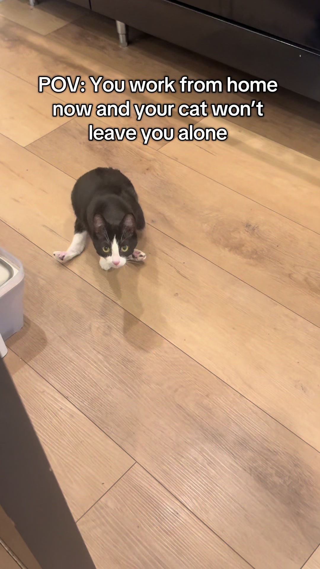 @soccercatmom