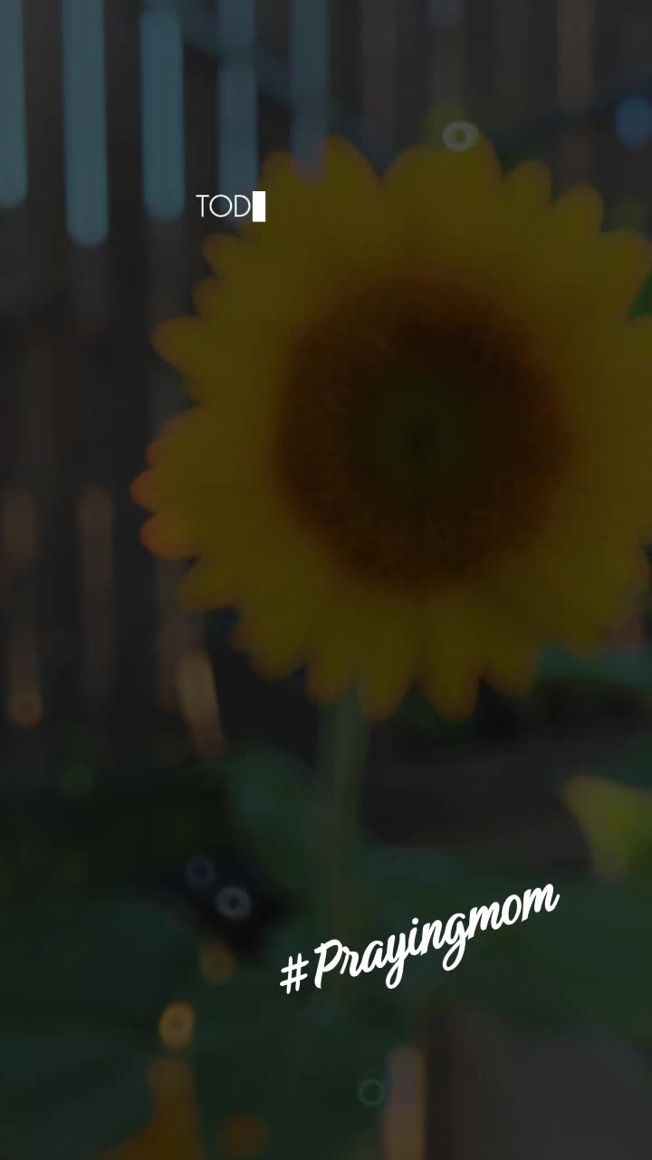 @MotherFreedom