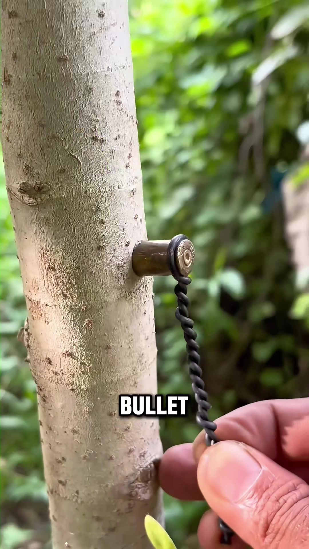 @militarybird