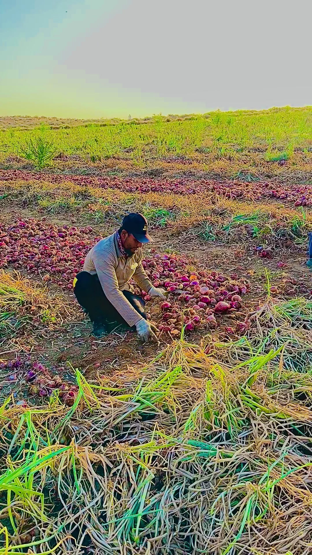 @Abubakkar Siddik🇧🇩🇸🇦