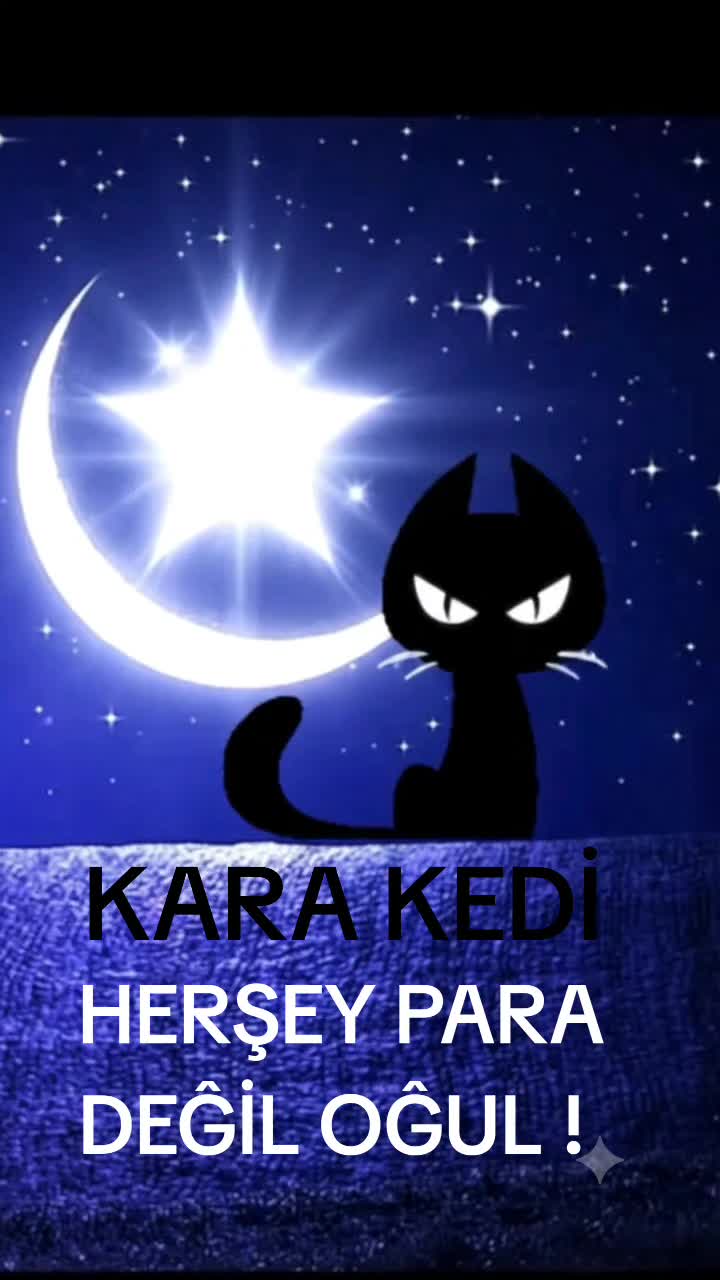 @KARA KEDI/BLACK CAT/ KATZE