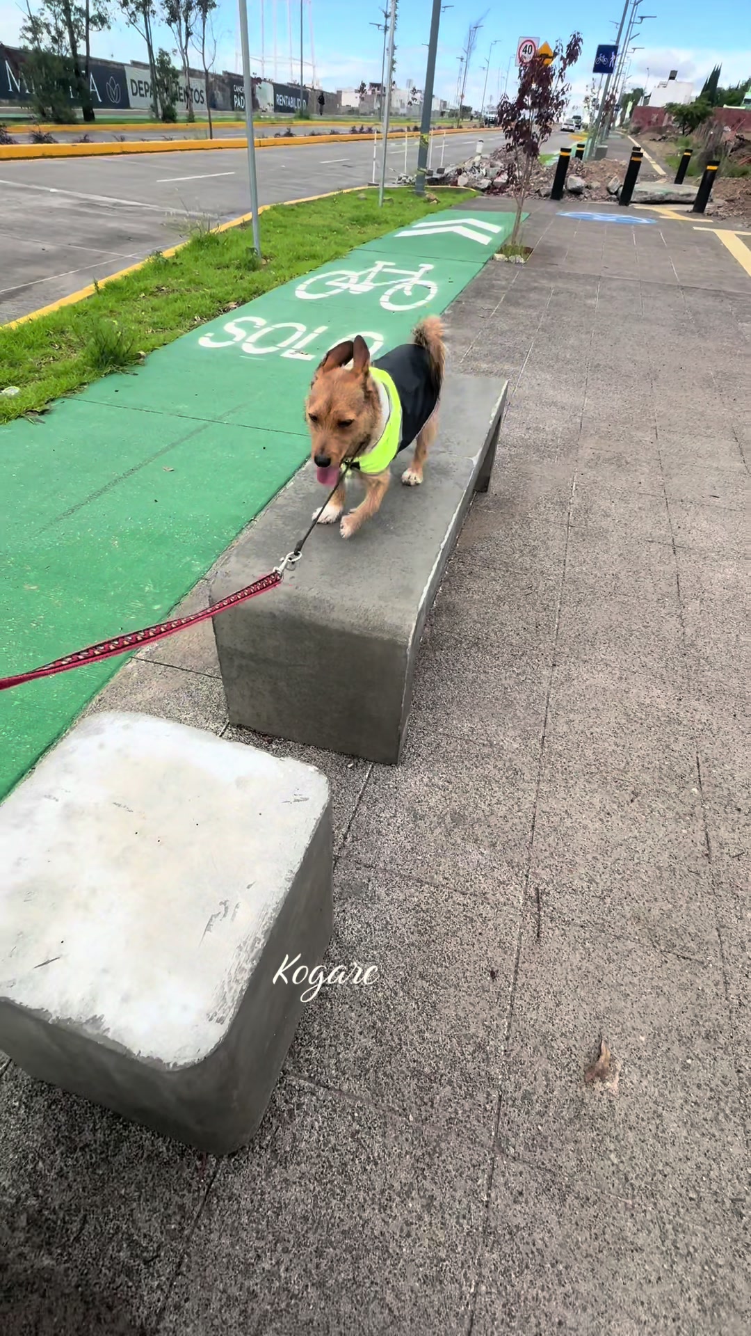 @Kogarc
