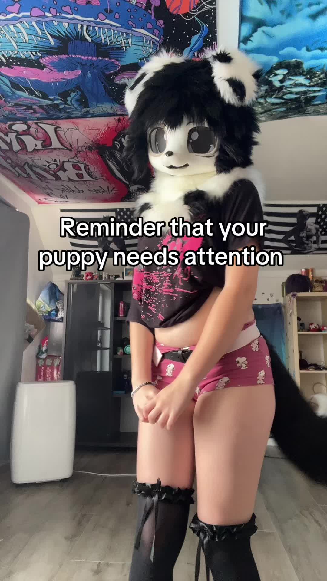 @🐾koddyyyyy🐾