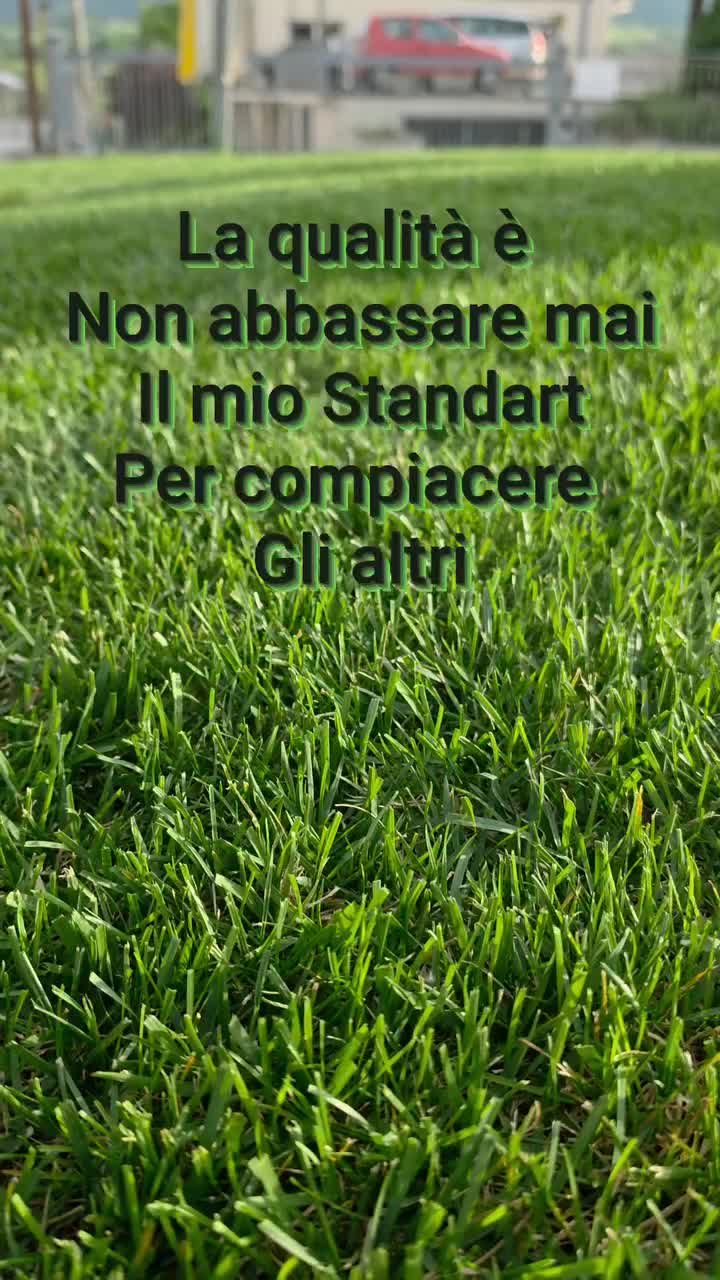 @#CENTROVERDELIONI
