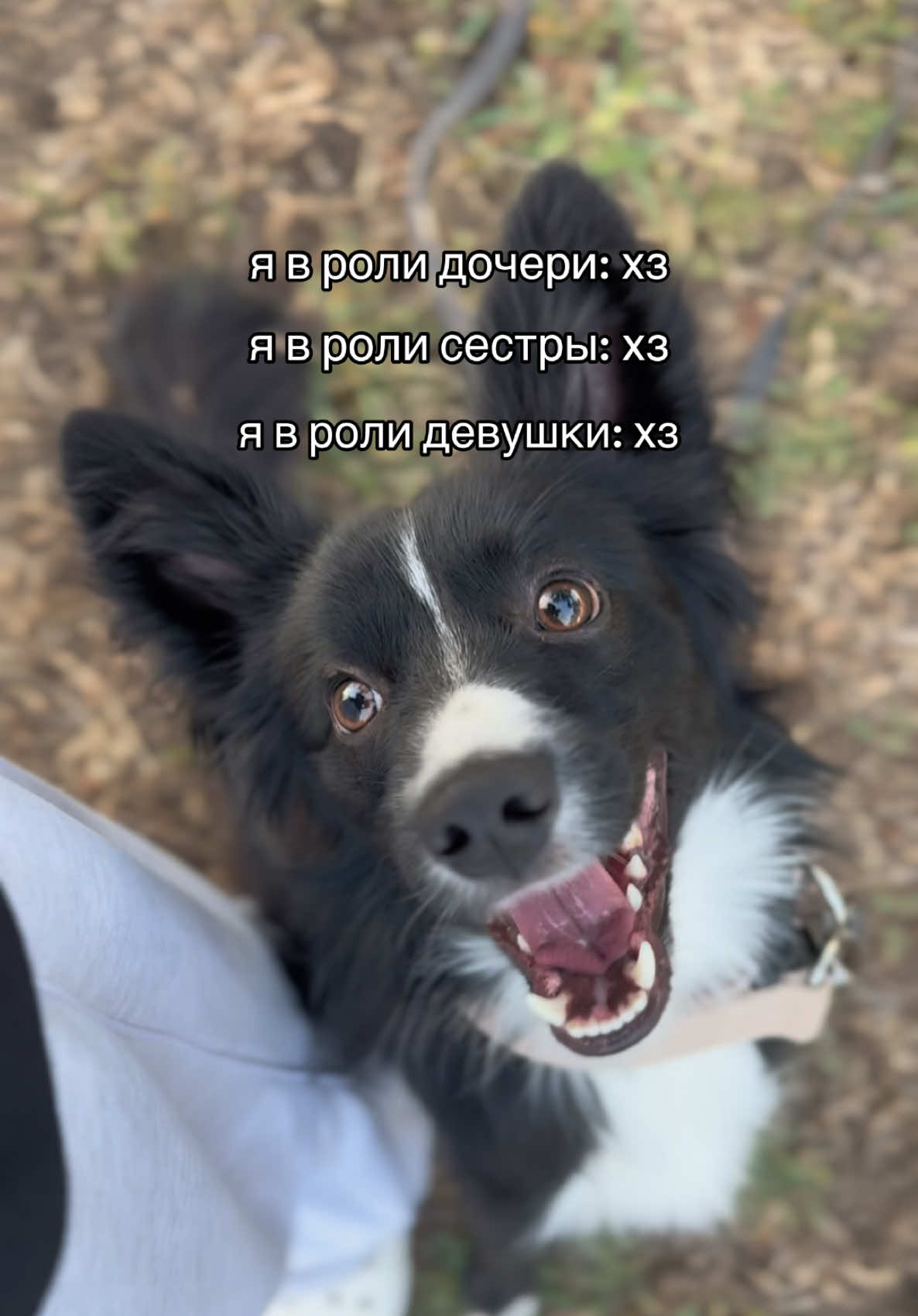 @𝗞𝗮𝗶🐊