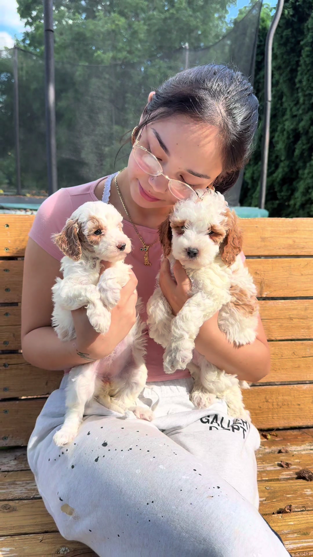 @FurbabyPuppies